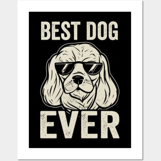 Cavalier King Charles Spaniel Best Dog Ever Posters and Art